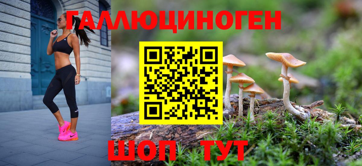 Ижевск  Псилоцибиновые грибы мицелий  Вход с VPN 