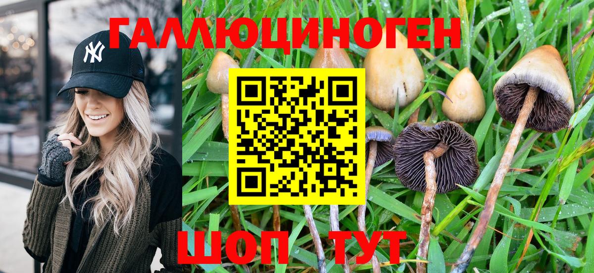 Псилоцибиновые грибы мухоморы Ижевск